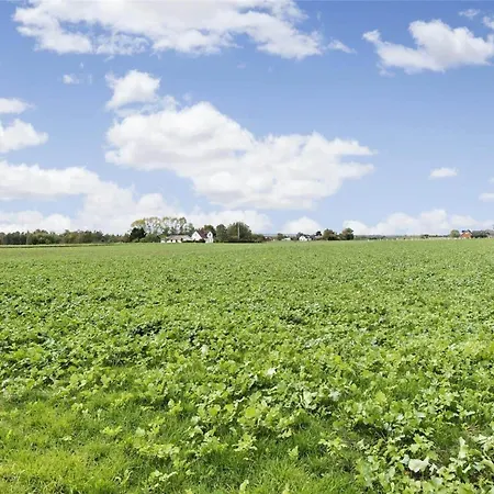 Fa009-faxe-ladeplads-brandskov-6