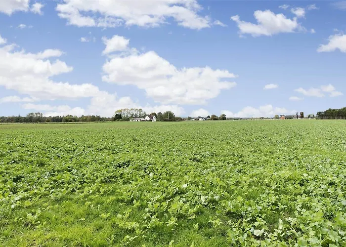 Fa009-faxe-ladeplads-brandskov-6