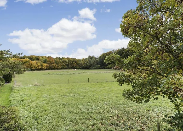 別荘 Fa009-faxe-ladeplads-brandskov-6